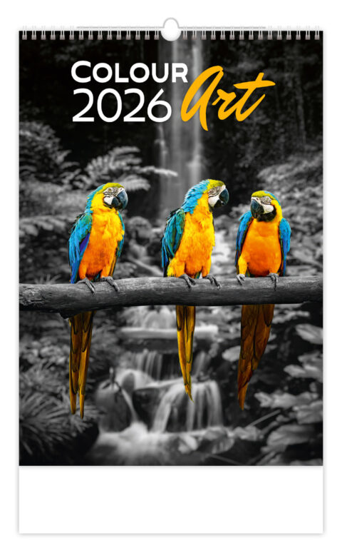 Kalendář Colour Art